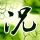 《神舞幻想》神誓养成系统曝光 超强神兽给力助攻
